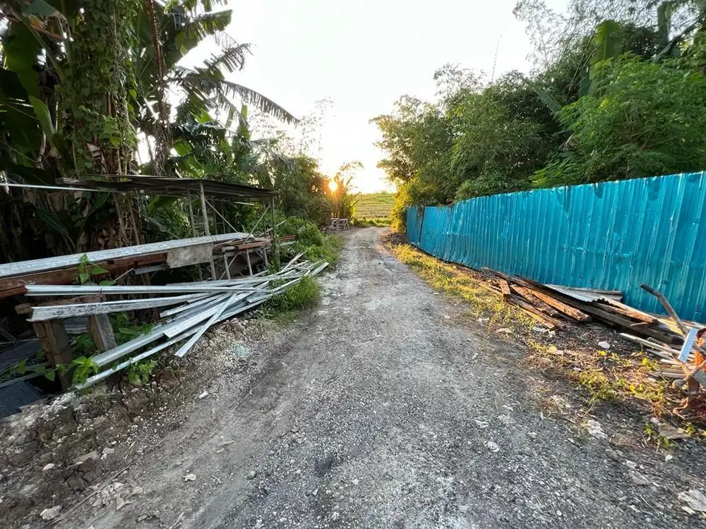 DIJUAL TANH SIAP BANGUN LOSH SUNGAI DI CANGGU