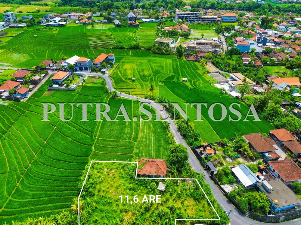 TANAH PERERENAN TUMBAK BAYUH JALAN UTAMA