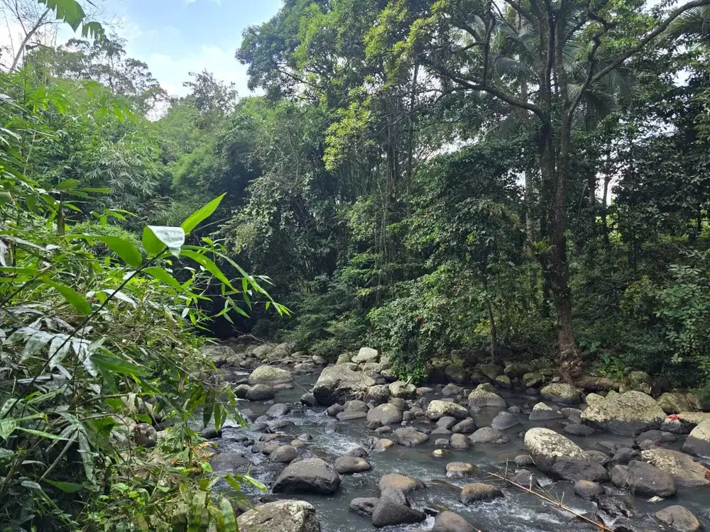 Dijual tanah los sungai jernih di tabanan bali