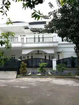 Rumah Luas Ada Kolam Renang Di Bintaro  8032