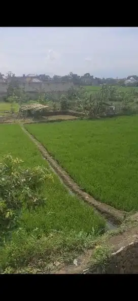 Tanah MURAH SHM di Ujung Berung Bandung STRATEGIS