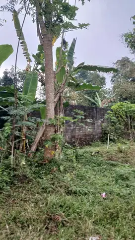 Jual Cepat Tanah SHM P di Pakem Sleman dekat Fasum