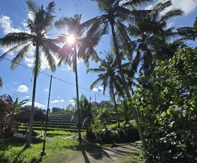 Dijual tanah kebun los sungai view sawah akses jalan hotmixs