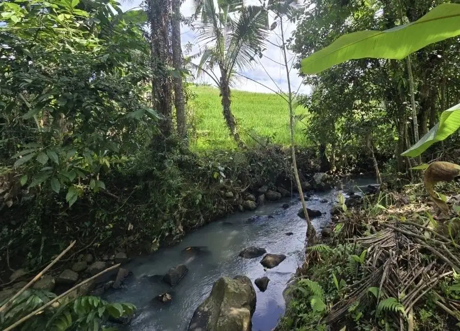 Tanah dengan view sawah dan los sungai yang indah