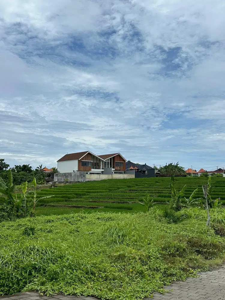 TANAH VIEW SAWAH SUNSET SUNRISE DEKAT CANGGU KEDUNGU