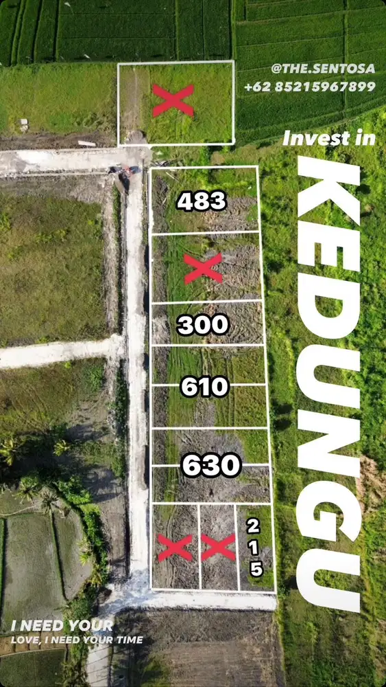 KEDUNGU VIEW SAWAH LINGKUNGAN VILLA