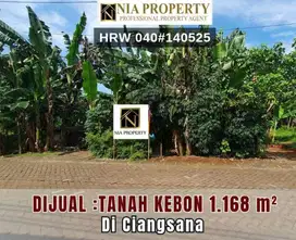Dijual Tanah Kebon Cocok Untuk Usaha di Ciangsana Gunung Putri Bogor