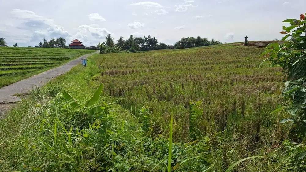 Dijual tanah zona pink luasan kecil dekat pantai