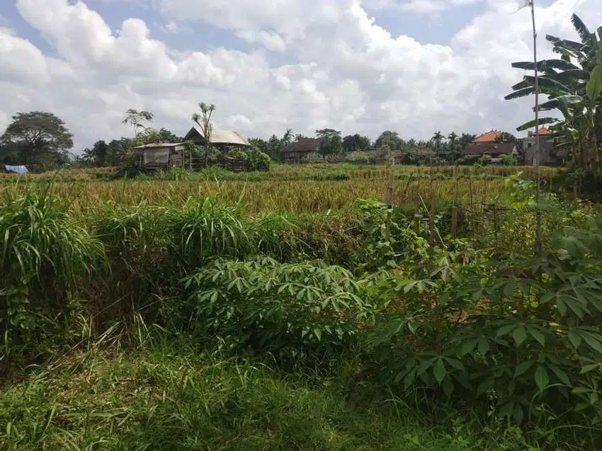 Tanah size kecil full view sawah tengkulak ubud