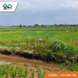 DIJUAL TANAH 4 H NEGO SAMPAI DEAL PERUNTUKAN INDUSTRI BABELAN BEKASI
