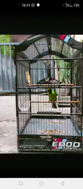 Kandang + isi nya