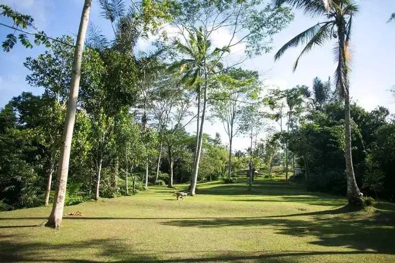 Tanah super premium ubud tegalalang los sungai