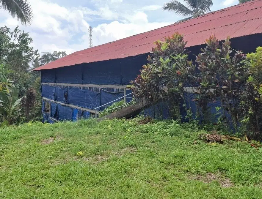 Dijual tanah sudah berisi bangunan kandang ayam
