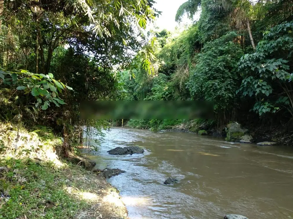 TANAH LOS SUNGAI UBUD BALI sangat cocok untuk villa, resort, dan hotel