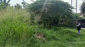 Kavling Strategis Ciomas Lokasi Didalam Komplek Harga Termurah SHM