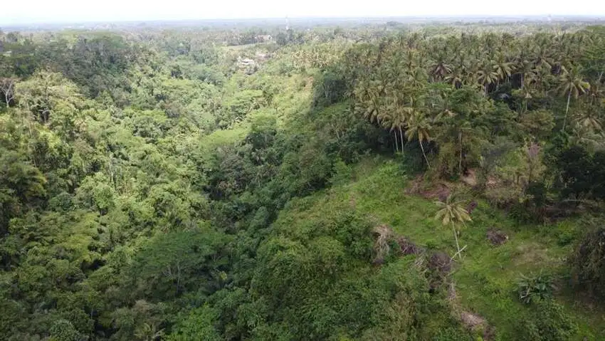 Tanah premium los sungai lembah sawah ubud pejeng /tengkulak/ ubud