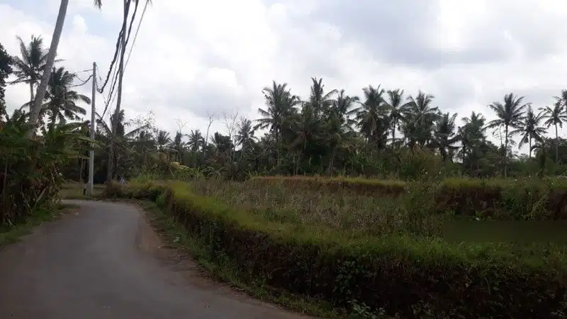 Tanah Super keren size kecil dkt hotel maya ubud gianyar bali