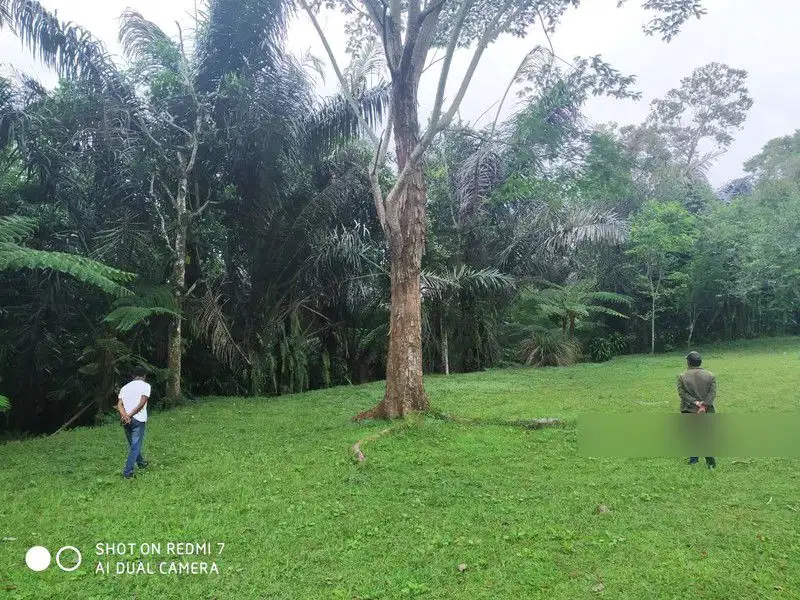 Tanah Los Sungai Payangan Ubud Gianyar