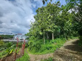 Tanah Dijual Dekat Kampus UIN, UB, Legalitas SHM