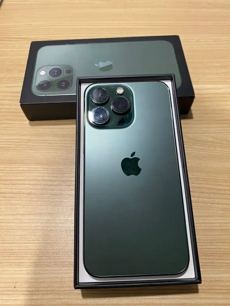 iPhone 13 Pro Max
