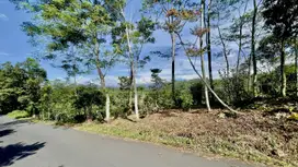 Dijual Murah Tanah 480 m2 Pinggir Jalan di Bojong Purwakarta