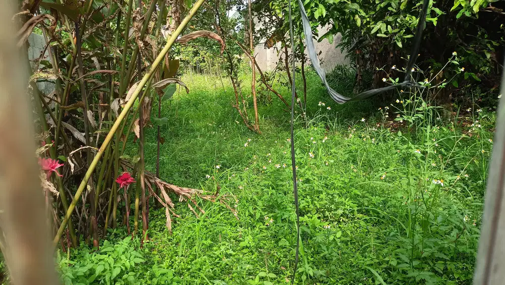Lahan Siap Bangun Di Ciomas 12 Menit RSUD Bogor Free SHM