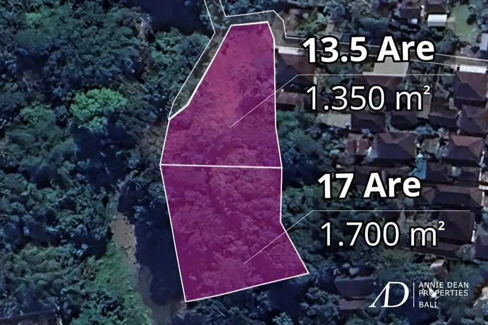 FREEHOLD RIVERFRONT LAND JUNGLE VIEWS - PRIME INVESTMENT IN CEPAKA