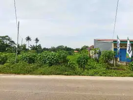 Tanah murah untuk perumahan di setu bantar gebang bekasi