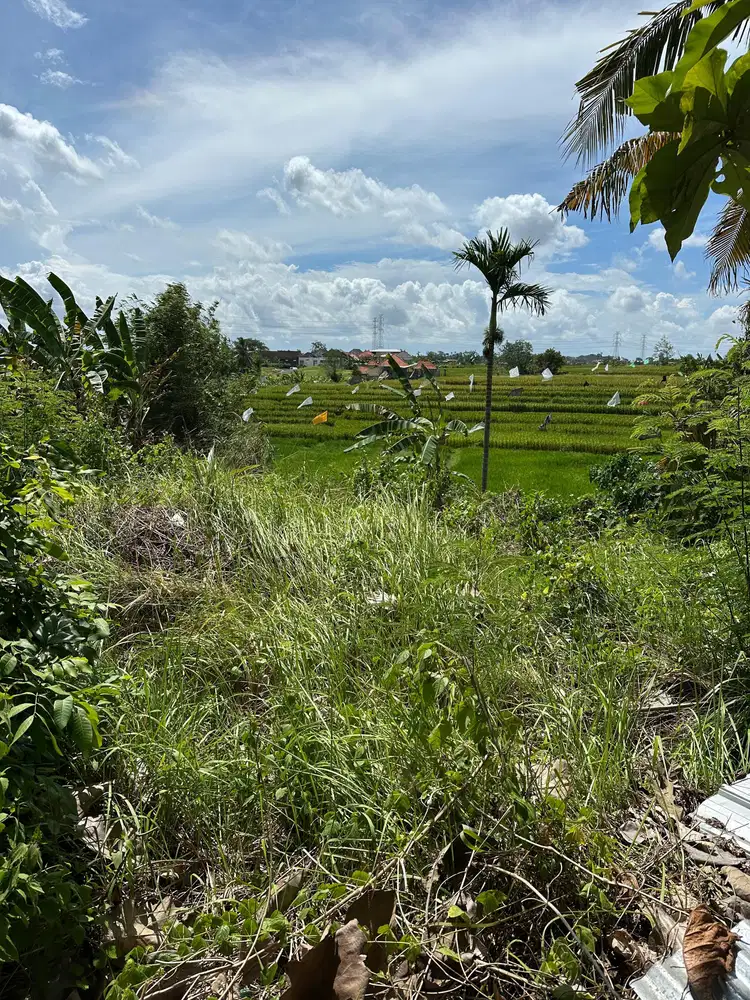 Dijual tanah di cepaka tumbak bayuh utara munggu bali