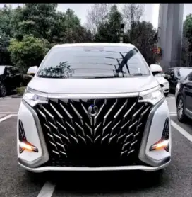 Denza D9 Vshape Grill & DRL