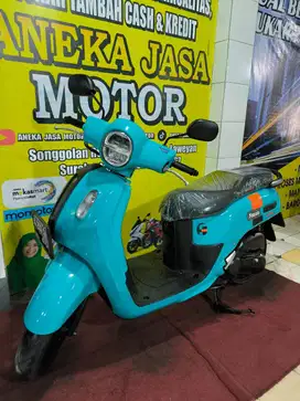 Fazzio 125 2022 AJM