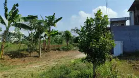 Dijual Tanah Sekitaran UIN Dan UMM Cocok Bangun Hunian