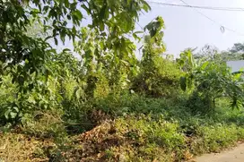 Tanah Tembalang Bulusan Utara Undip