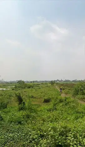 Dijual Cepat Tanah Luas Di Sepatan Lebak Wangi Tangerang