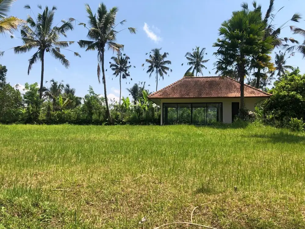 Land in Payangan Ubud for sale