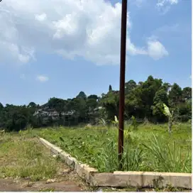 Tanah sejuk dingin cisarua puncak bogor