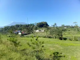 Jual tanah shm di puncak cisarua bogor