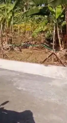 Tanah Banyumanik Pudak Payung Dekat Undip Tembalang