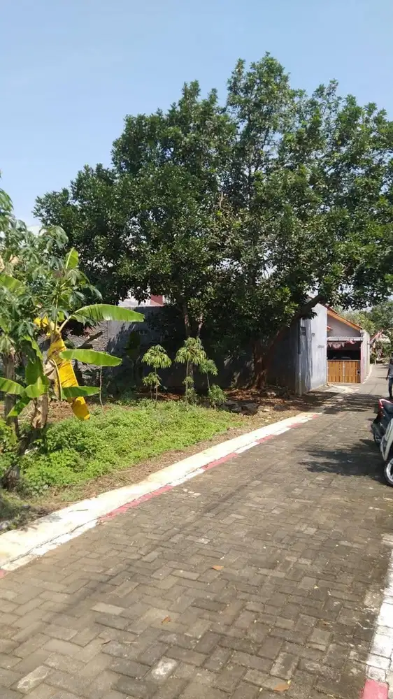 Tanah Banyumanik Pudak Payung 15 menit Ke Undip Tembalang
