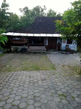 Tanah Murah Bonus Joglo Dalam Perumahan Dekat Madukismo Dan Kasongan
