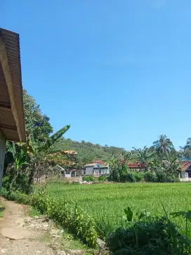 Cari kerja secepatnya