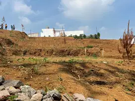Tanah kavling murah d wisata puncak bogor