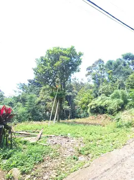 Jual Tanah Murah 922 m2