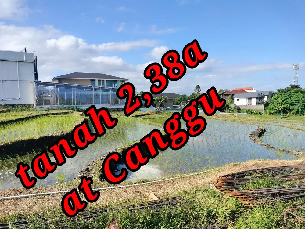 Dijual Tanah 2,38a di Canggu Bali