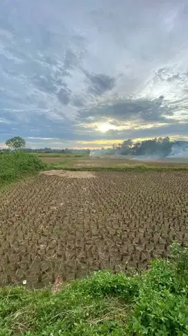 Dijual Tanah Padat Sawah Di Legok Tangerang