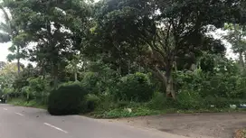 Jual Cepat Tanah Murah di Argomulyo Salatiga u/perum, cluster