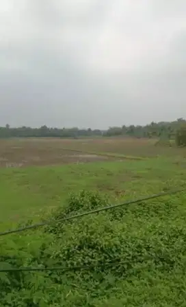 Dijual Tanah 30 Ha Zona Industri di Panongan Kab. Tangerang