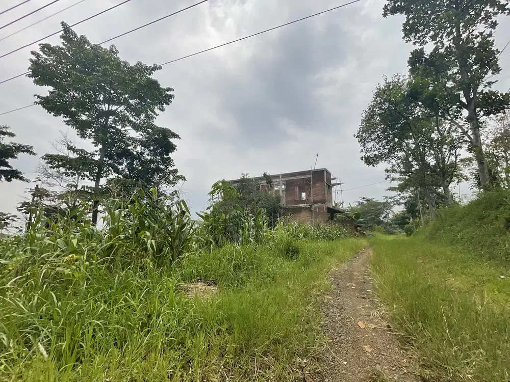Tanah Lokasi UIN 3 Straegis Untuk Rukost 500 m Fakultas Kedokteran