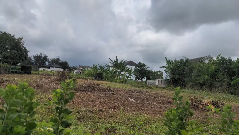 Tanah Bebas Banjir di Kawasan Strategis, Siap Bangun Dekat UIN dan UMM