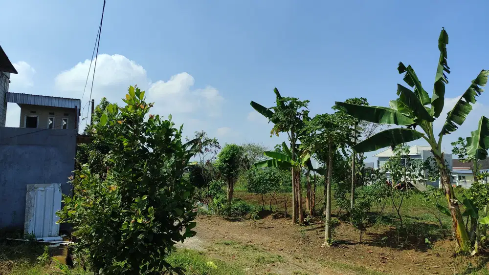 Tanah Asri dengan Pemandangan Gunung, Lokasi Siap Bangun Kota Malang